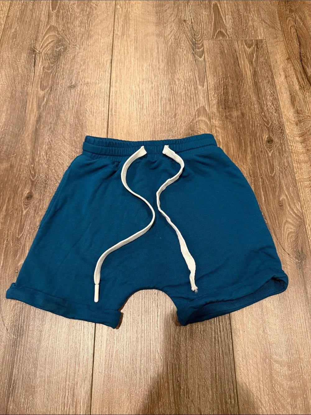 Fletch Teal Short Sleeve Hoodie and Shorts Set Size: 2/3T